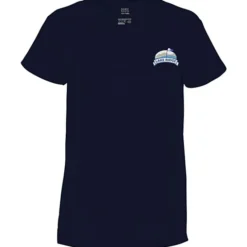 District Recycled V-Neck T-Shirt - Ladies' - Embroidered