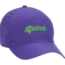 Dominate Snapback Cap