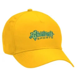 Dominate Snapback Cap