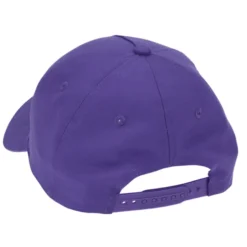 Dominate Snapback Cap