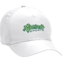 Dominate Snapback Cap