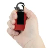 Dylan Carabiner Clip Keychain