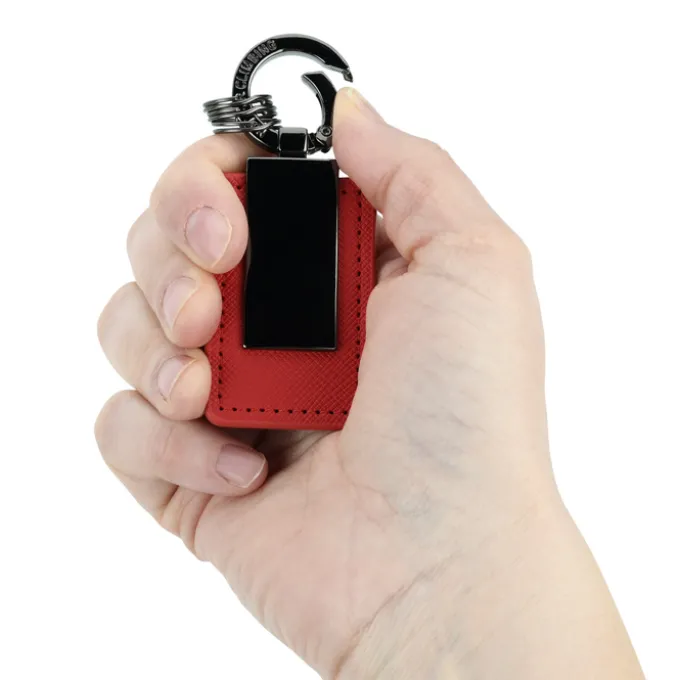 Dylan Carabiner Clip Keychain