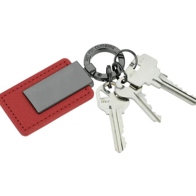 Dylan Carabiner Clip Keychain