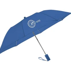 Economy Auto Opening Umbrella - 42-inch Arc