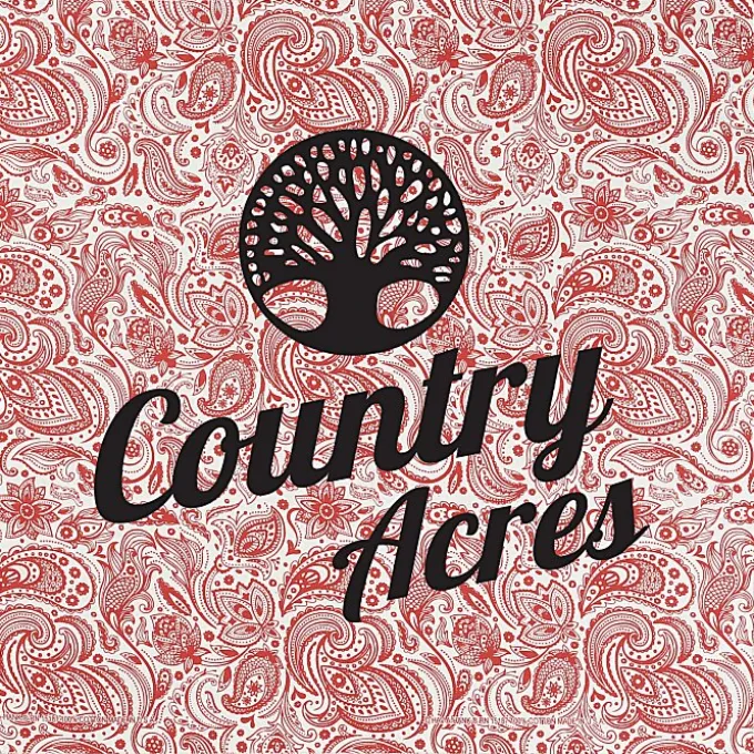 English Paisley Bandana - 22 inches x 22 inches