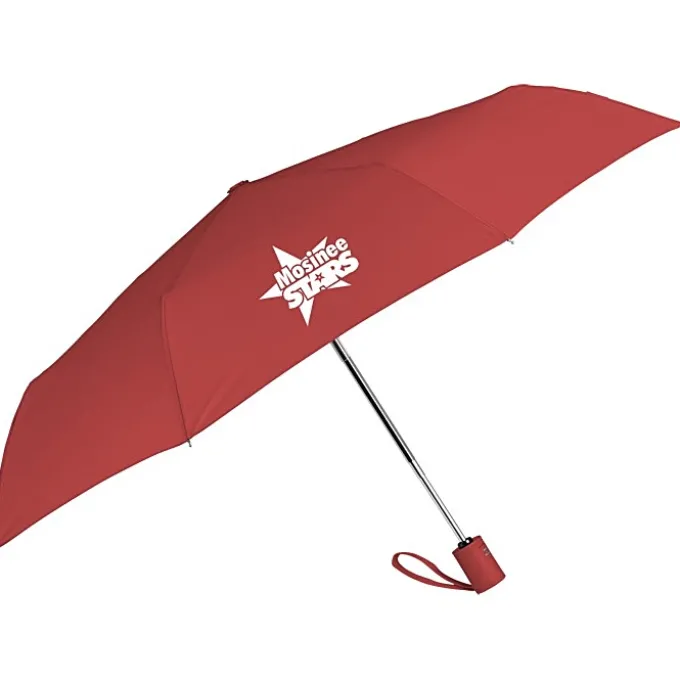 Executive Auto Open / Close Umbrella - 43-inch Arc