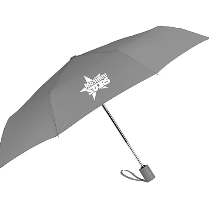 Executive Auto Open / Close Umbrella - 43-inch Arc