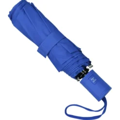 Executive Auto Open / Close Umbrella - 43-inch Arc