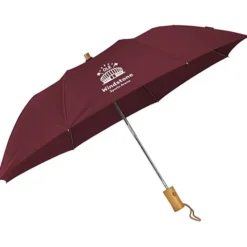 Executive Folding Umbrella - 43-inch Arc