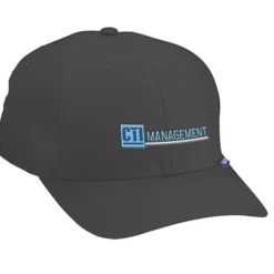 Flexfit V-Flex Twill Cap