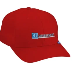 Flexfit V-Flex Twill Cap