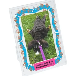 Full Color Dual Easel Frame - 4 inches x 6 inches