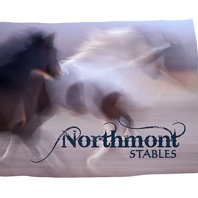 Full Color Microfleece Blanket - 60 inches x 80 inches
