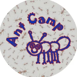 Full Color Static Decal - Circle - 3-1/2 inches