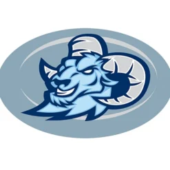 Full Color Static Decal - Oval - 5 inches x 8 inches