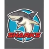 Full Color Static Decal - Rectangle - 4 inches x 5 inches