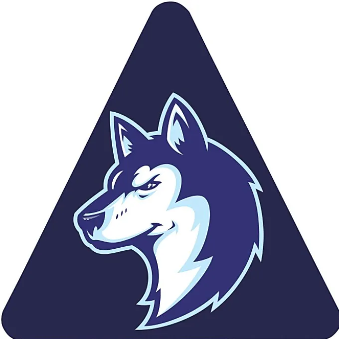 Full Color Static Decal - Triangle - 3 inches