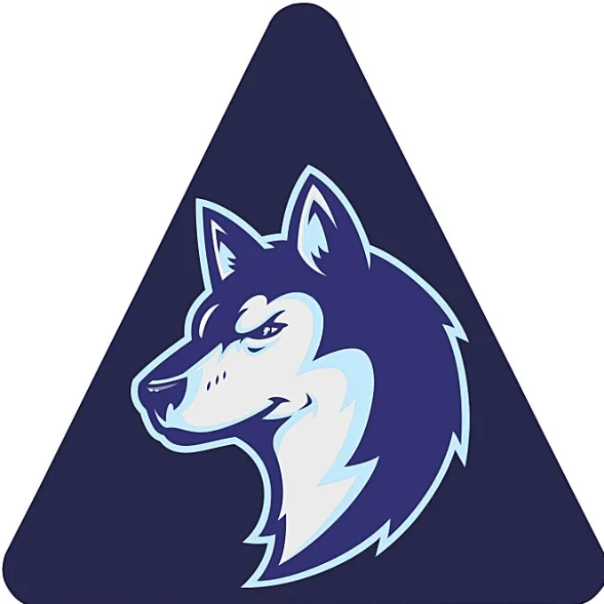 Full Color Static Decal - Triangle - 3 inches