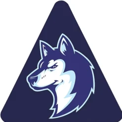 Full Color Static Decal - Triangle - 3 inches