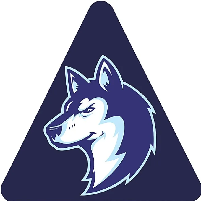 Full Color Static Decal - Triangle - 3 inches
