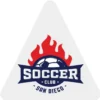 Full Color Sticker - Triangle - 4 inches