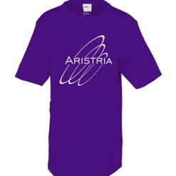 Fusion Chromasoft T-Shirt - Men's