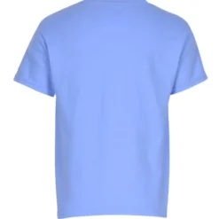 Gildan 5.3-oz Cotton T-Shirt - Youth - Full Color - Colors