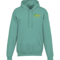 Gildan Softstyle Fleece Hoodie - Embroidered