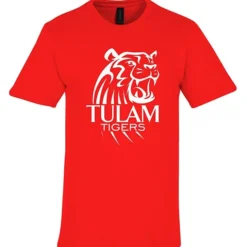 Gildan Softstyle Midweight T-Shirt - Men's