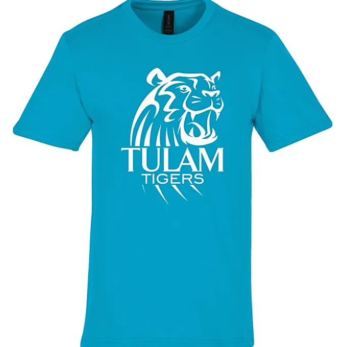 Gildan Softstyle Midweight T-Shirt - Men's