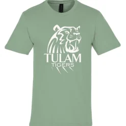 Gildan Softstyle Midweight T-Shirt - Men's