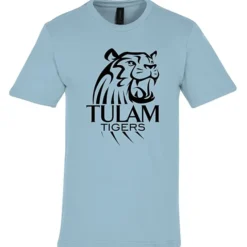Gildan Softstyle Midweight T-Shirt - Men's