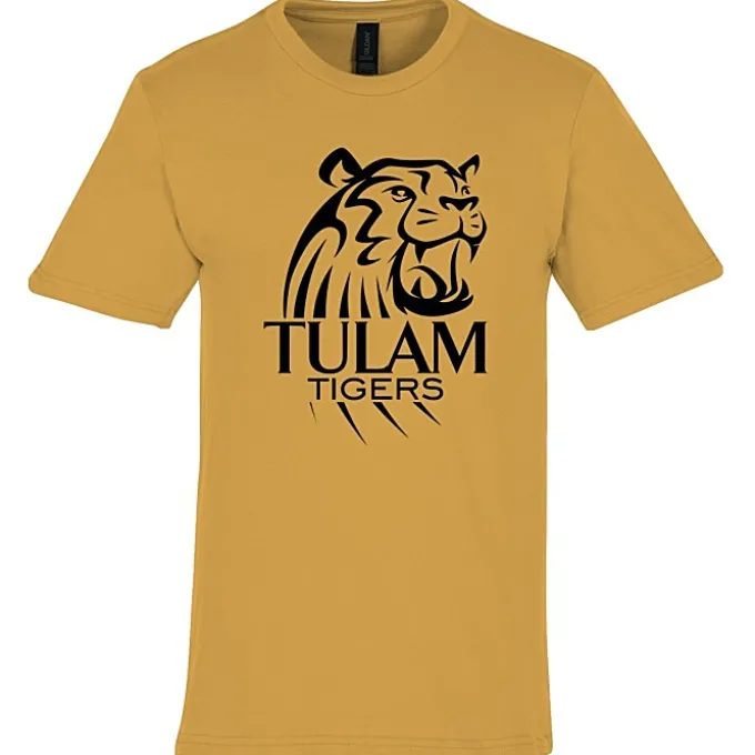 Gildan Softstyle Midweight T-Shirt - Men's