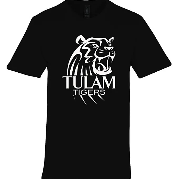 Gildan Softstyle Midweight T-Shirt - Men's