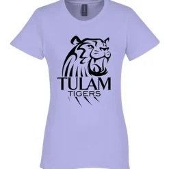 Gildan Softstyle Midweight T-Shirt - Ladies'