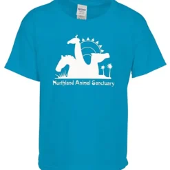 Gildan Softstyle T-Shirt - Youth - Screen