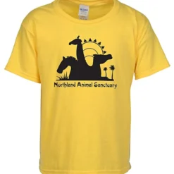 Gildan Softstyle T-Shirt - Youth - Screen