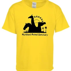 Gildan Softstyle T-Shirt - Youth - Screen