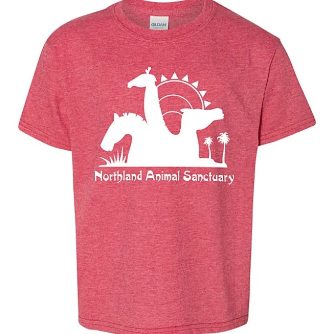 Gildan Softstyle T-Shirt - Youth - Screen