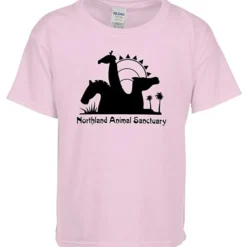Gildan Softstyle T-Shirt - Youth - Screen