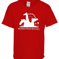 Gildan Softstyle T-Shirt - Youth - Screen