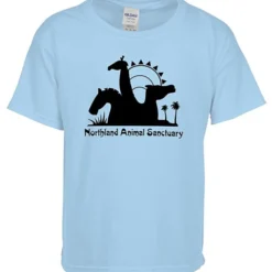 Gildan Softstyle T-Shirt - Youth - Screen
