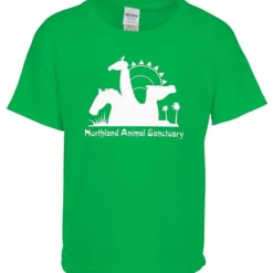 Gildan Softstyle T-Shirt - Youth - Screen
