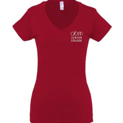Gildan Softstyle V-Neck T-Shirt - Ladies' - Screen