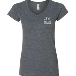 Gildan Softstyle V-Neck T-Shirt - Ladies' - Screen