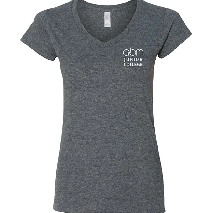 Gildan Softstyle V-Neck T-Shirt - Ladies' - Screen