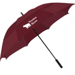 Golf Umbrella with Wind Vents - 62-inch Arc - 24 hr