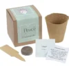 Growable Planter Gift Kit - Chamomile