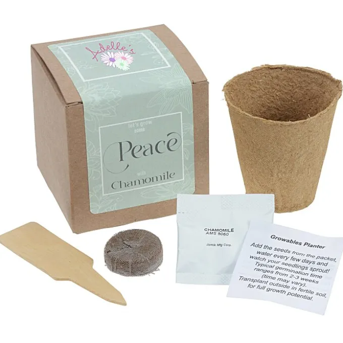 Growable Planter Gift Kit - Chamomile